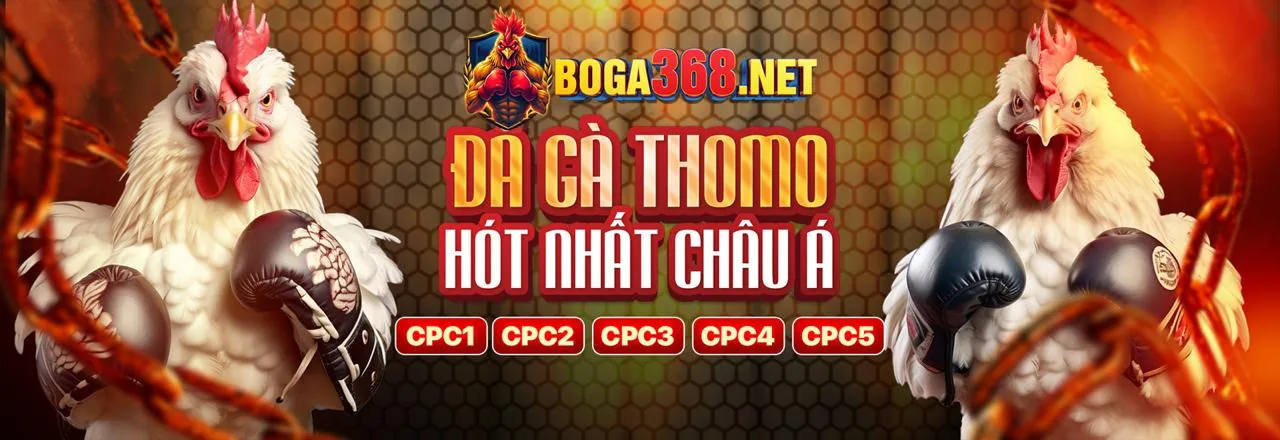Đá Gà Trực Tuyến JDB App